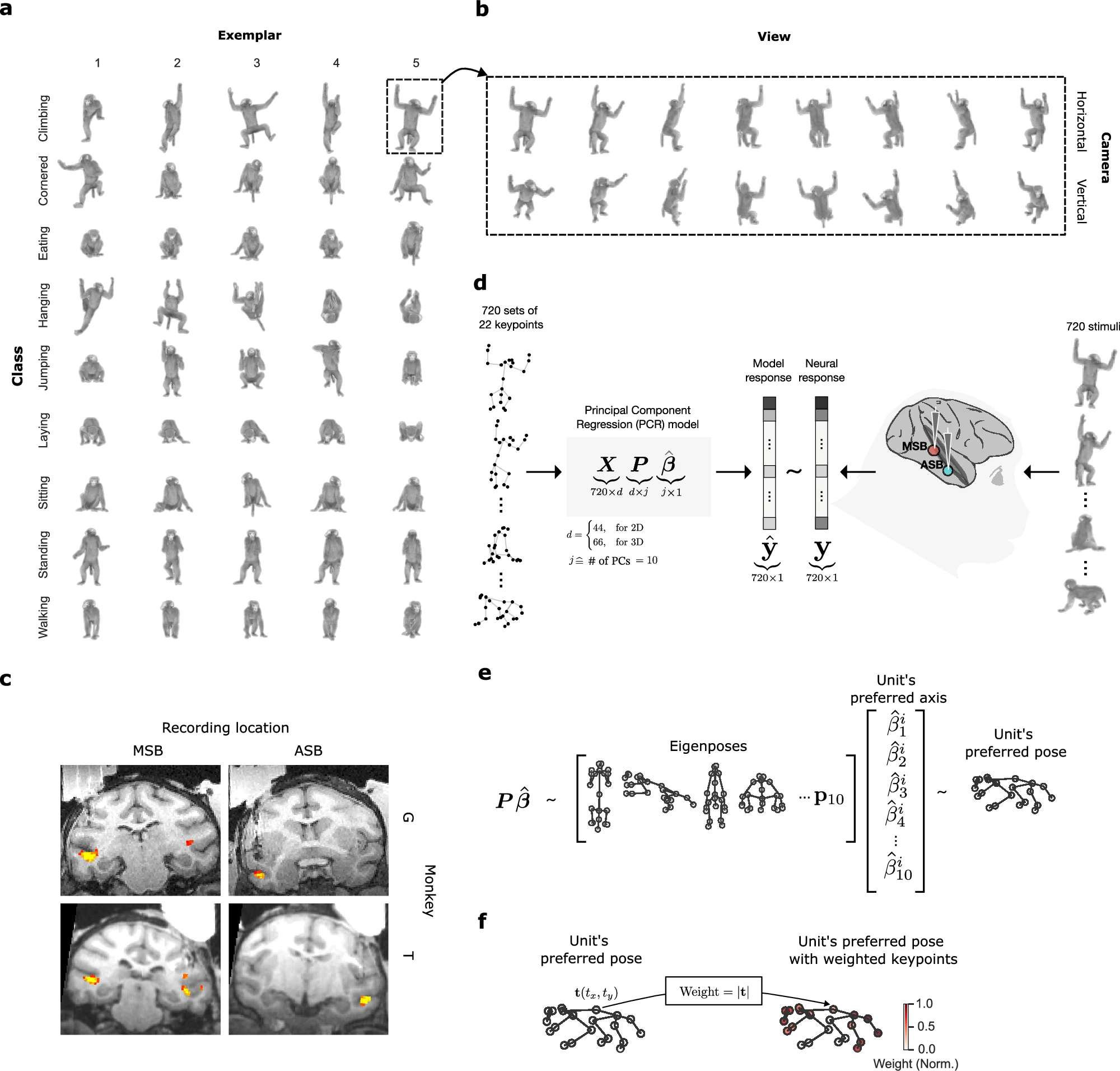Pose tuning paper teaser