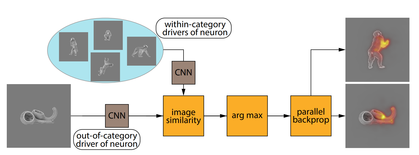 Shared-feature visualization teaser